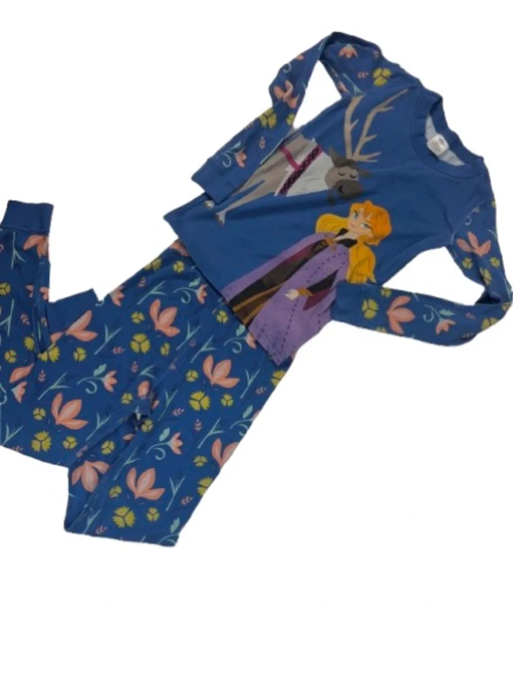 Blue Floral Frozen Anna & Sven Pajama Set